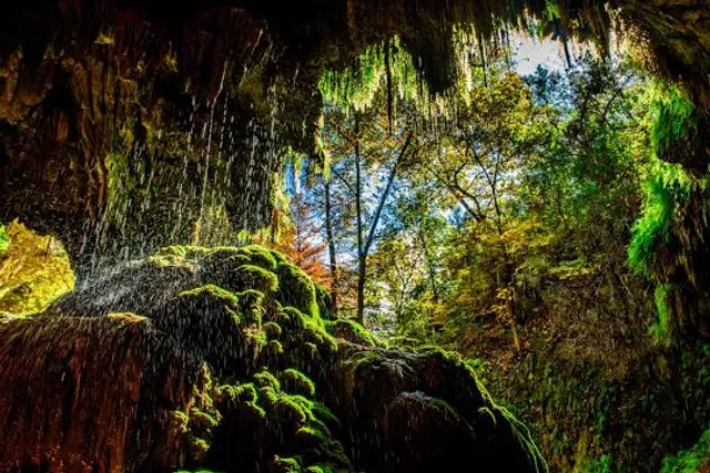 Westcave Outdoor Discovery Center