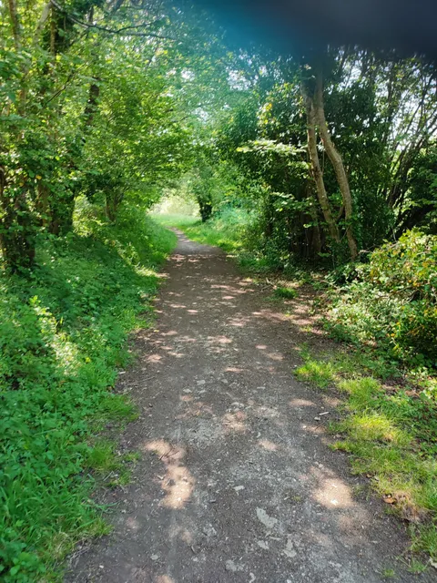 Chemin du Train Carotte