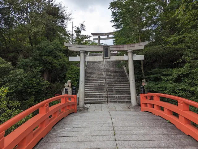 photo-1