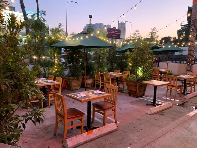 Shintaro Sushi and Japanese Restaurant