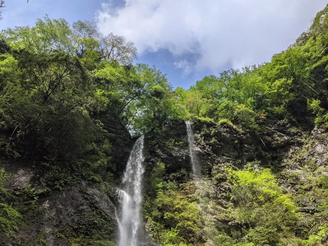 Ascension Dragon's Falls