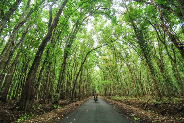 Alas Purwo National Park Office