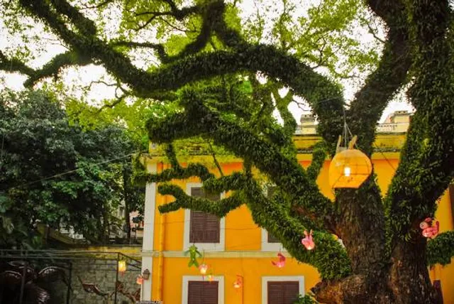 Jardim de Vasco da Gama