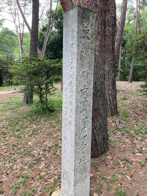 photo-1