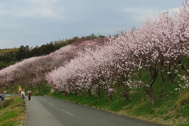 Anzunosato Sports Park