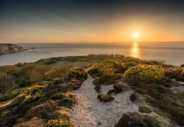 Headon Warren National Trust