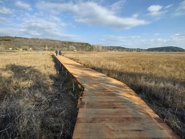 Tidal Flats of Saint-Fulgence