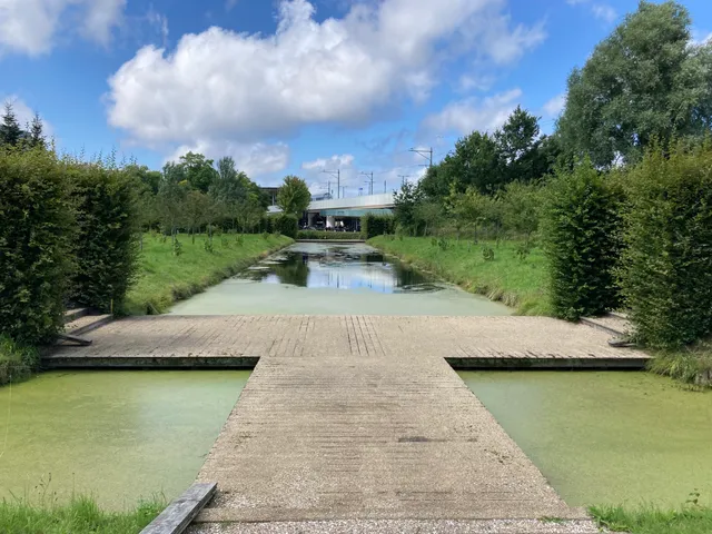 photo-1