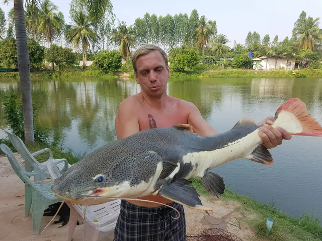 Amazon Fishing