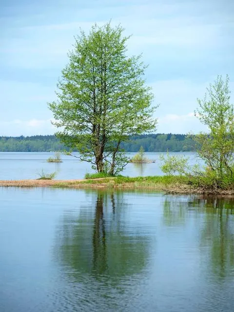 Łańskie Lake