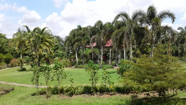 City Garden and Living Tree Museum