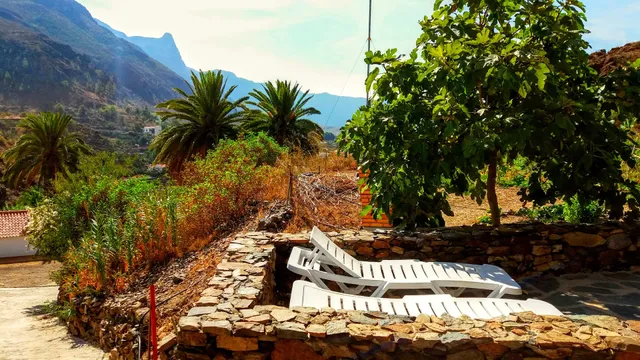 EcoTara Canary Islands