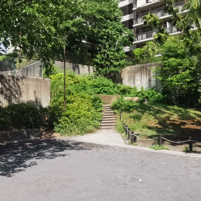photo-3
