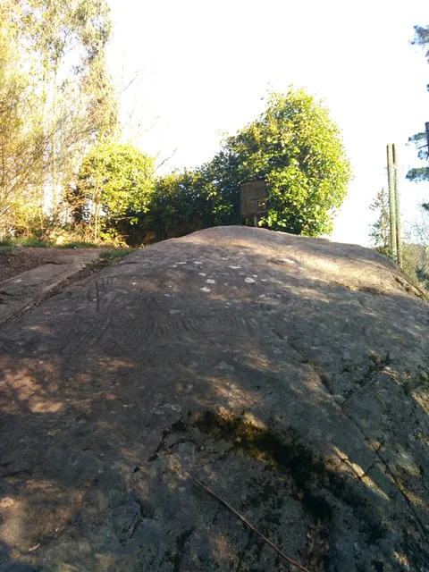 Petroglifo Castriño De Conxo