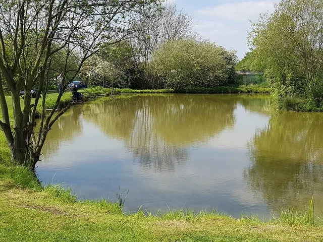 place image