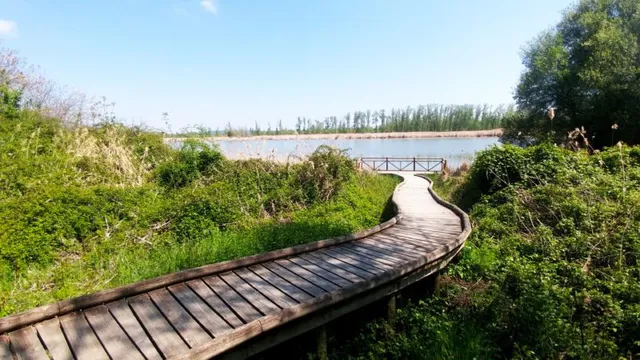 Senda de los Almendros