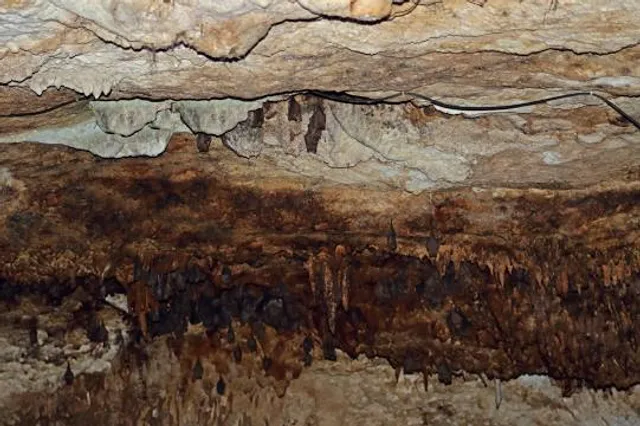 Cueva de los Murciélagos