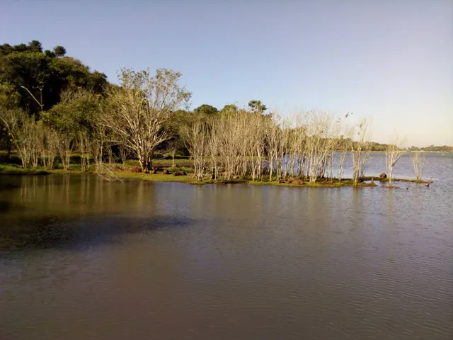 Parque Municipal Paulo Gorski