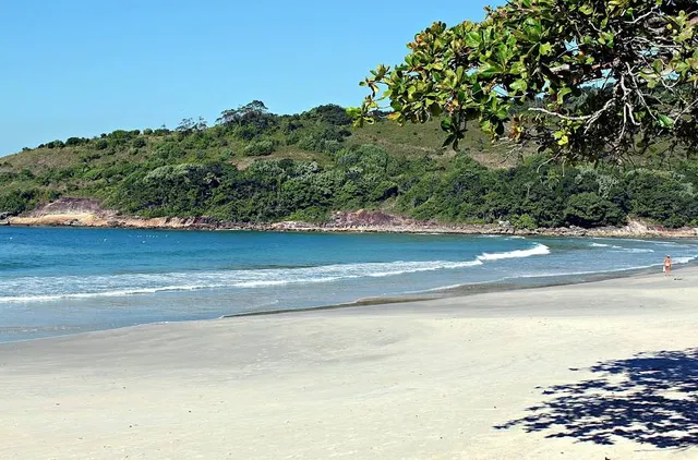 Pernambuco Beach