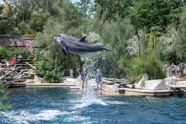 Dolphinarium in the zoo of Nuremberg