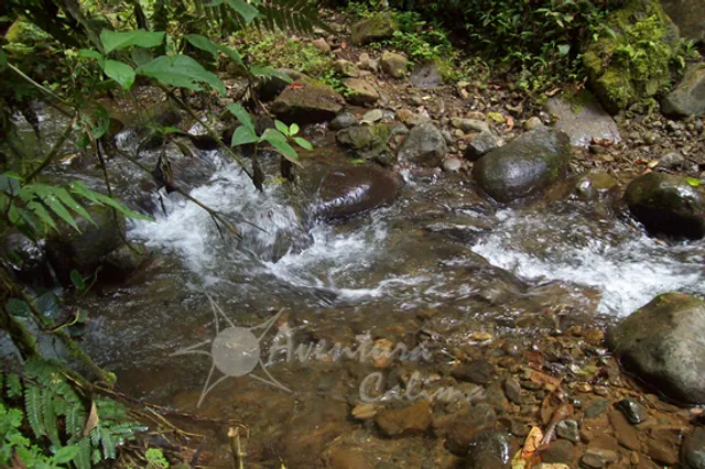 Sendero Ecologico las Brumas
