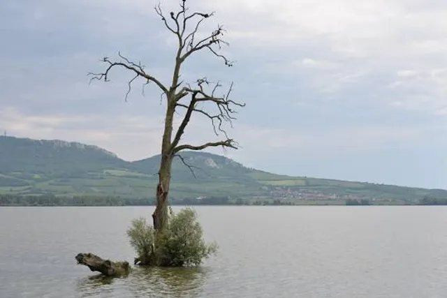 vodní nádrž Nové Mlýny-střed