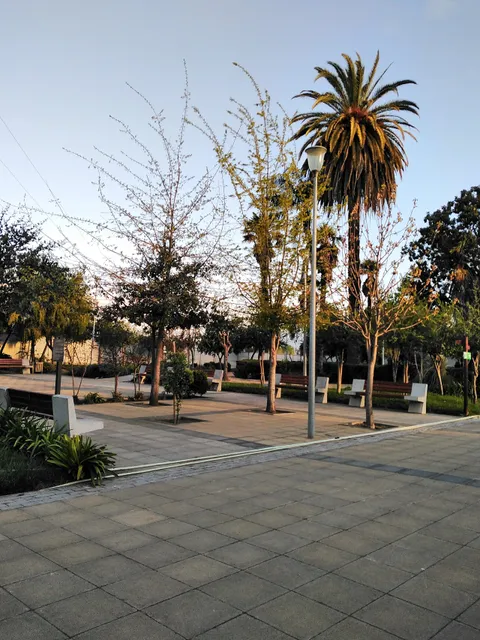 photo-3