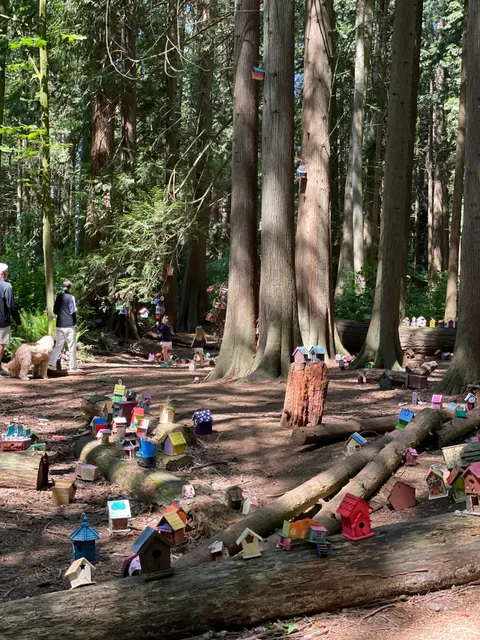 Redwood Park Fairy Forest