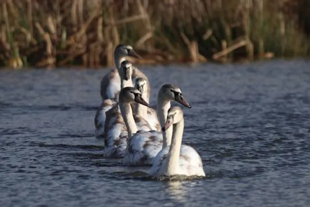 Edenbrook Country Park