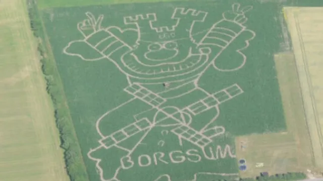 Föhrer Maislabyrinth