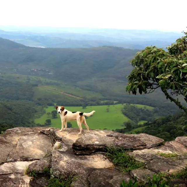 Região Geográfica Imediata de Dores do Indaiá
