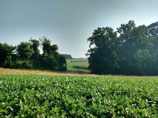 Natural Lands' ChesLen Preserve