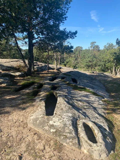 Necrópolis de Revenga