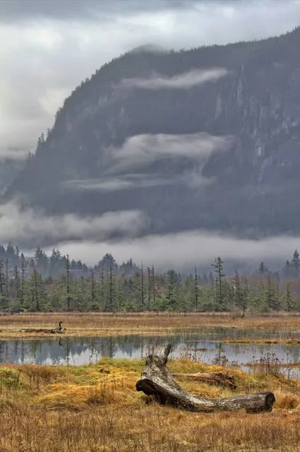 Squamish Spit & Estuary