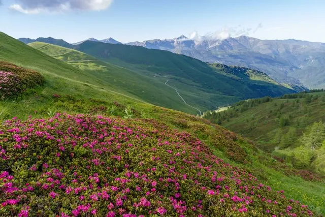 Parco Naturale Regionale delle Alpi Liguri