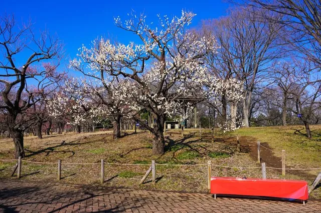 Kyodonomori Park