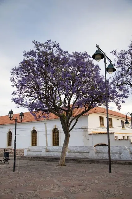 Plazoleta Paseo de la Recoleta