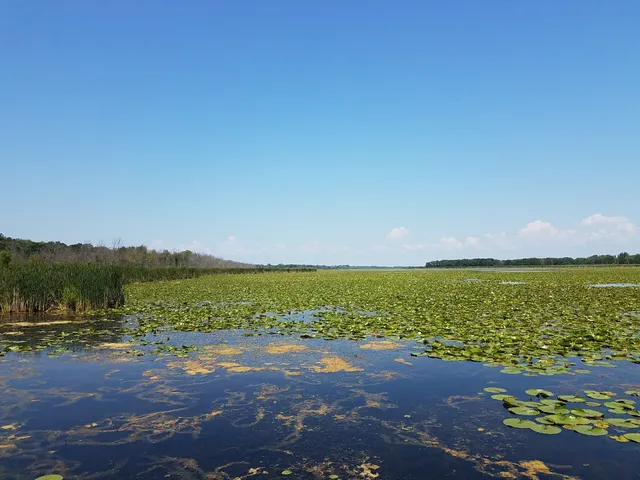 Tobico Marsh Nature Area