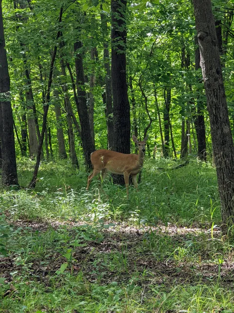 Eagle Creek State Park