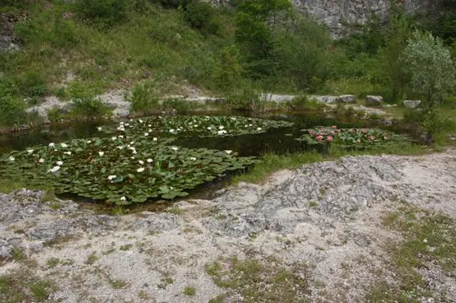 Botanická zahrada Štramberk