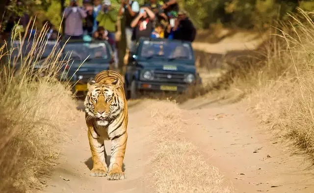 Chikhaldara Gypsy&Taxi Services