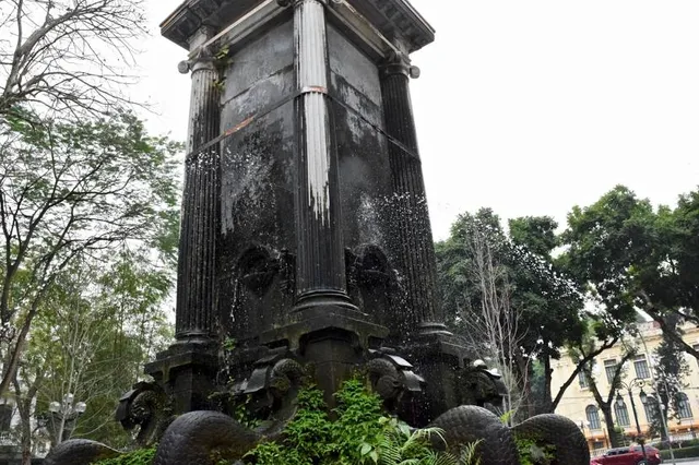 Vườn hoa Con Cóc