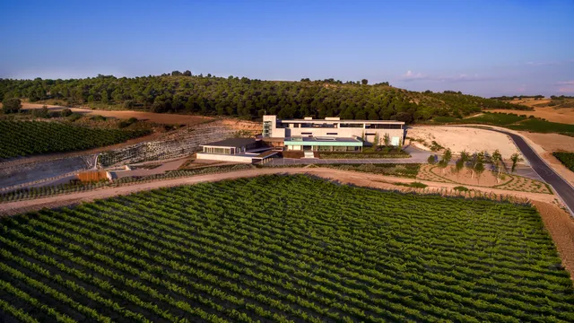 Entrada-Camino Aalto Bodegas y Viñedos