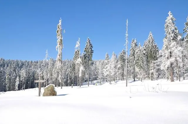 Langlaufzentrum Bretterschachten Bodenmais