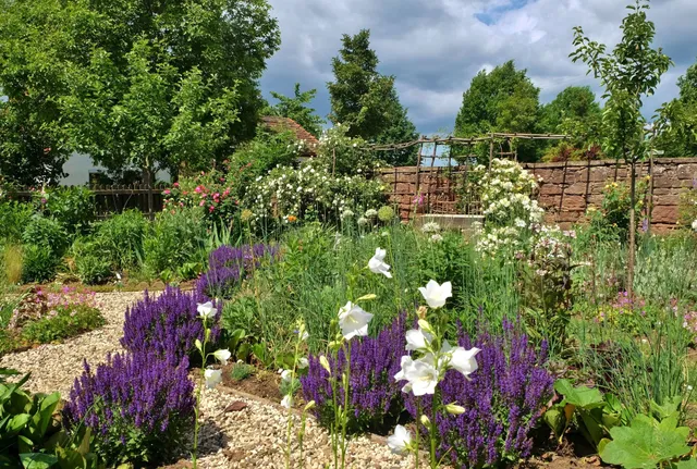 Garten Schneider/Pecoraro-Schneider