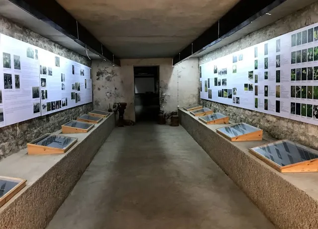 Boğatepe Cheese Museum