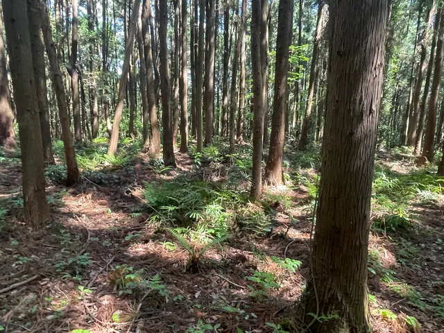 Matsuida Castle's Site