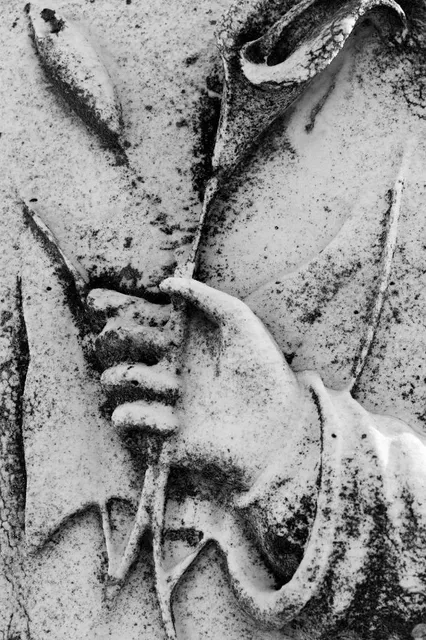 Museo de Historia Natural (MUHNA)