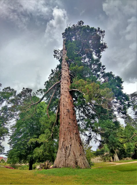 - René Boylesve Public Garden