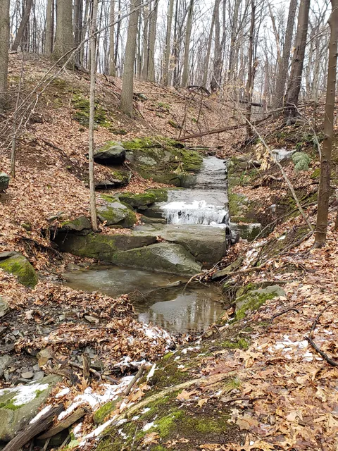 Bedford Reservation MTB trails, Olander Lot